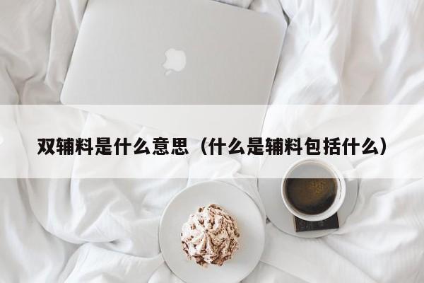 双辅料是什么意思（什么是辅料包括什么）