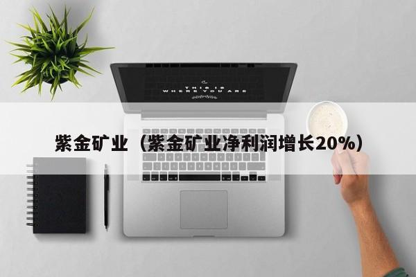 紫金矿业（紫金矿业净利润增长20%）