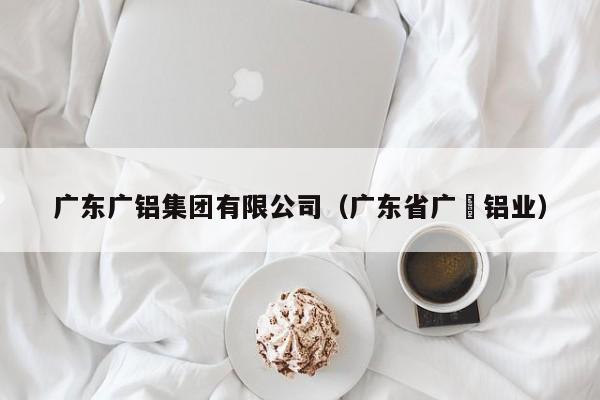 广东广铝集团有限公司（广东省广堔铝业）